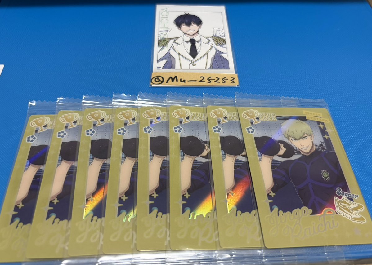 Mu__25253's tweet photo. @Silver_grass_R こんばんは。
初めまして、検索よりお声掛け失礼致します。
こちら雷市複数枚所持しております。
郵送にてお迎えして頂くことは可能でしょうか？
御検討よろしくお願いします🙇‍♀️ https://t.co/JTvNR4eZeZ