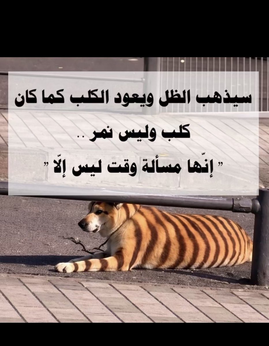 Miscellaneo9rc3's tweet photo. ركز جيدا في الصورة اخي العزيز 🤙 https://t.co/5AzufBrOV8