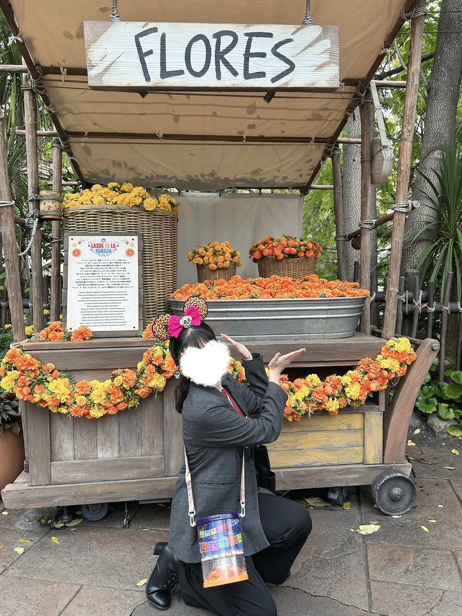 fbk_1021's tweet photo. 親に撮って貰ってめちゃお気に入りの一枚。 https://t.co/gNHUTnXVGw