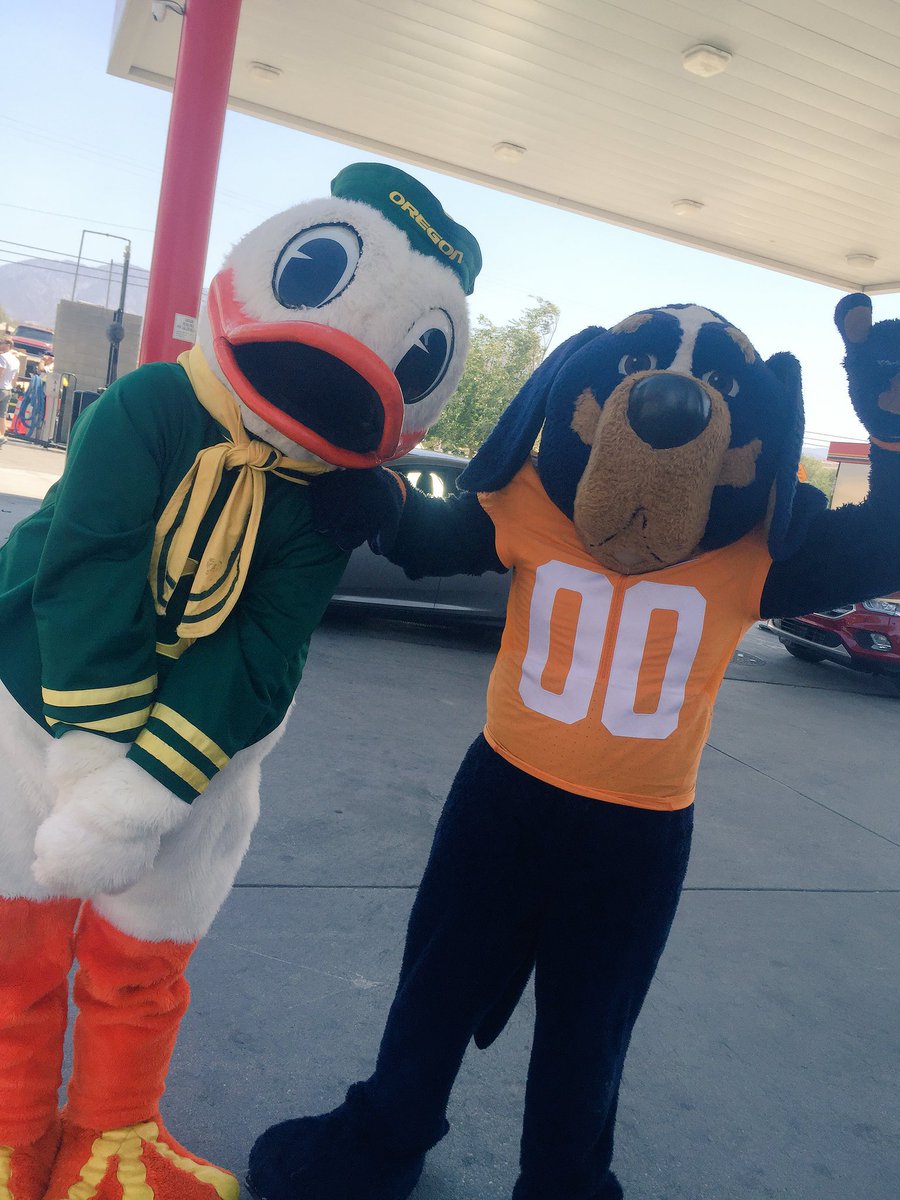 B1GDuckEnergyy's tweet photo. GIVE EM HELL TODAY VOLS https://t.co/PnRyAXA6AB