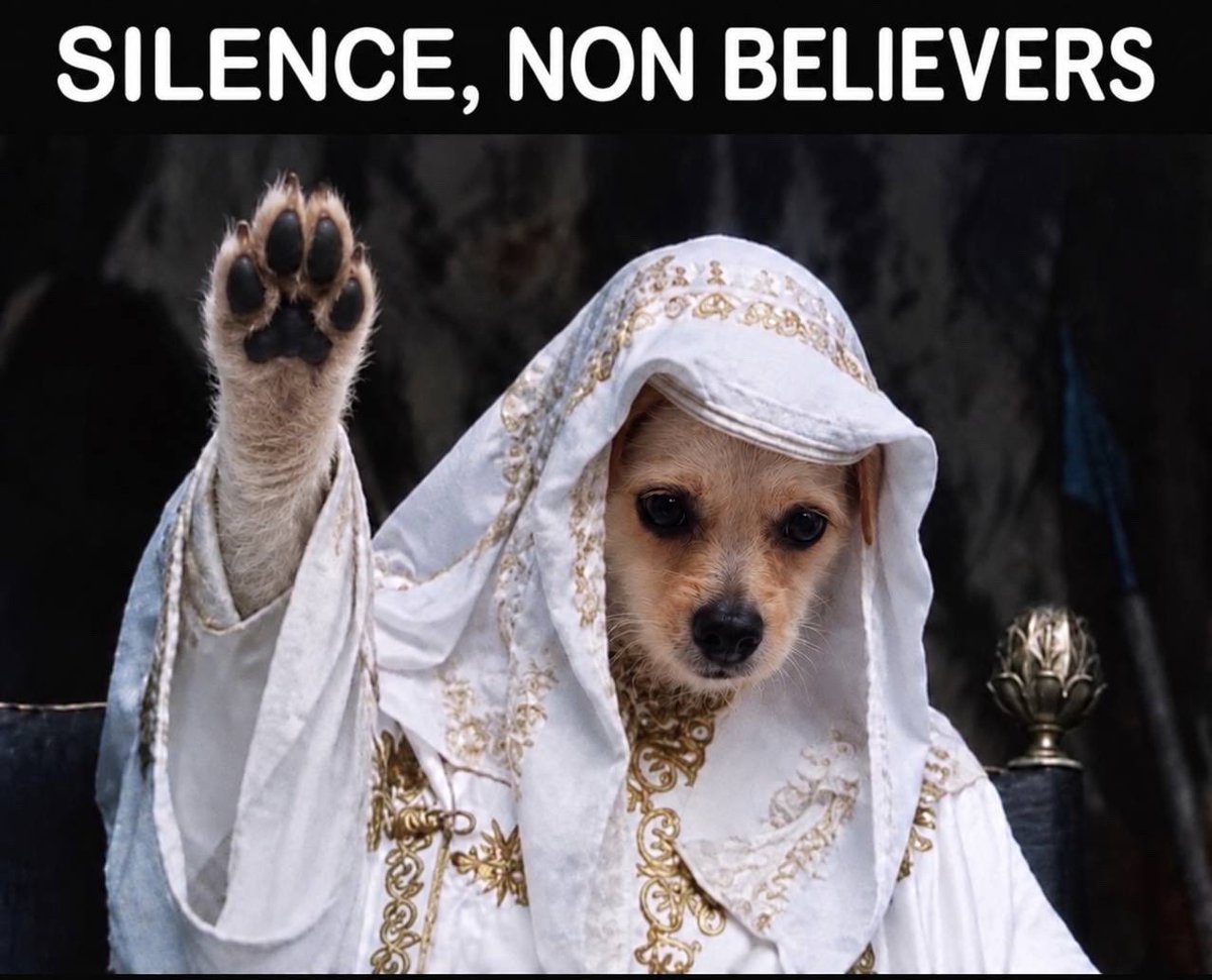 RafelineK's tweet photo. @frankdegods Elon Musk dogecoin went to $90 Billion meanwhile Maye Musk chosen dogecoin is sitting sub $100M

solana:8k4sBtEeK4pf26noKqApv8NBTnuSJcbdwpKYknk5PbAA is the dog of this cycle https://t.co/HKJ4FhVGTZ