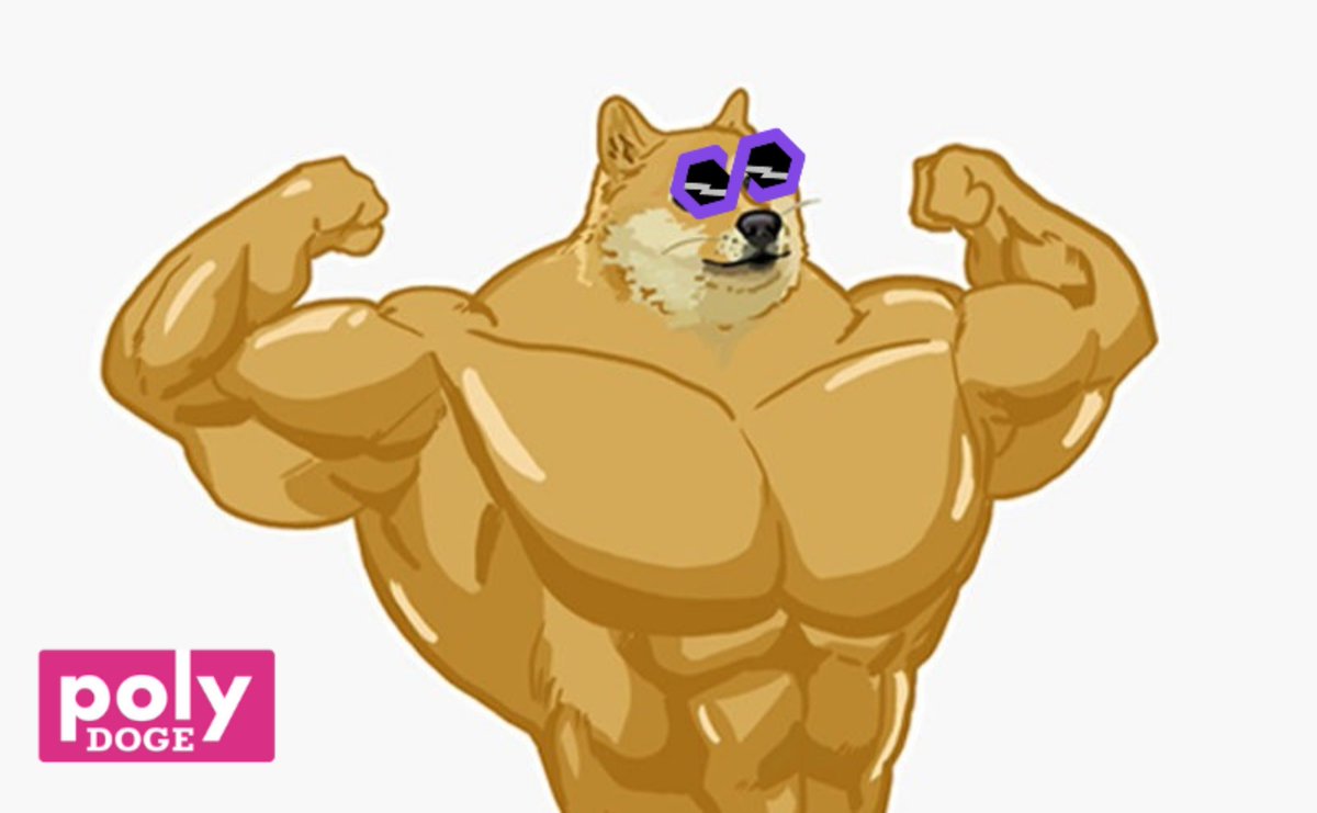 PolyDoge's tweet photo. Happy Saturday PolyDoge 🐶🚀 Fam! https://t.co/nu8ki3rU7I