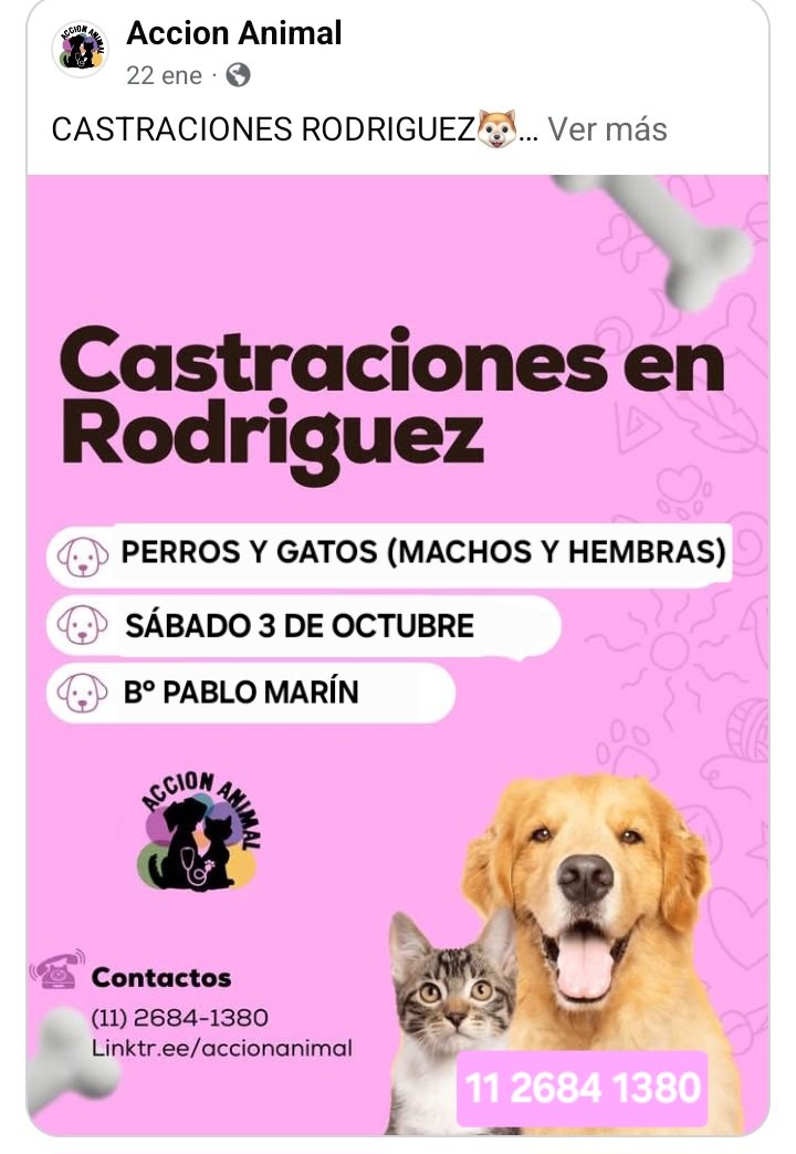protegealanimal's tweet photo. GRAL. RODRÍGUEZ
#GRALRODRÍGUEZ #RODRÍGUEZ #GENERALRODRÍGUEZ #BARRIOARRARAS #BARRIOLUCHETTI #LUCHETTI #BARRIOVENGOCHEA #BARRIOAGUADEORO #AGUADEORO #LAFRATERNIDAD #PMARÍN #BARRIOMARÍN #MARÍN #VENGOCHEA #ZONAOESTE #GRANBSAS #BSAS #BUENOSAIRES #CONURBANO https://t.co/nj2vIT8NkE