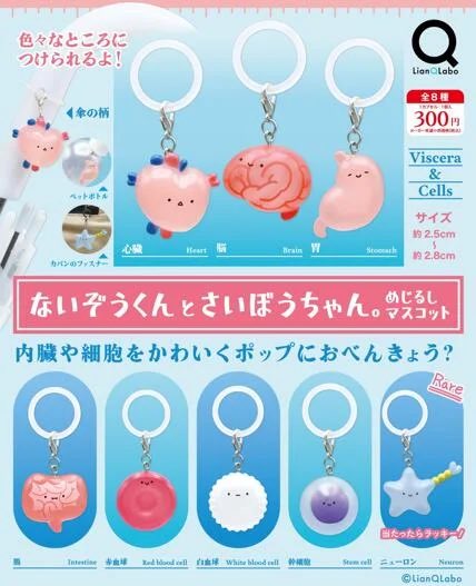 k42wKKihKBGTvXv's tweet photo. ないぞうくんとさいぼうちゃん。 めじるしマスコット

10月発売ガシャポン
300円

#最新情報　#カプセルトイ https://t.co/XdmMFfQp2K