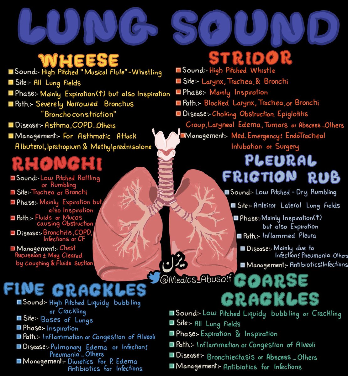 Medical_MD1's tweet photo. Lung Sounds 🩺 🫁 

. https://t.co/GVrsgsn3rw