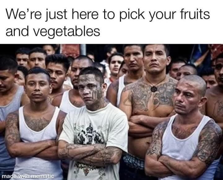 DavidC1796898's tweet photo. @marlene4719 So you liberals just want them here to pick their crops, got it. Oh yeah, and to use them to vote in their favor https://t.co/ULeiNhjamJ