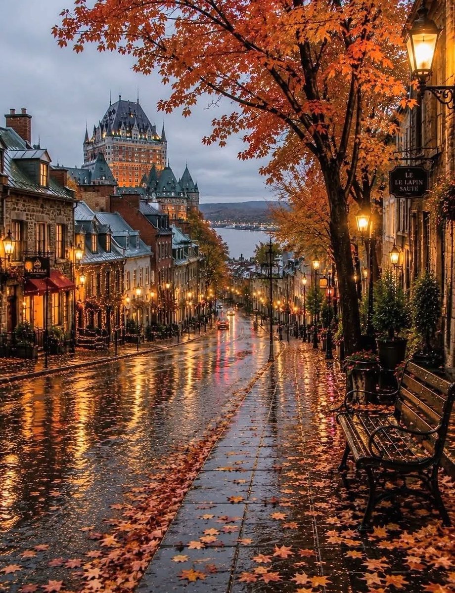 MonicaDrie's tweet photo. 🍁🍂 https://t.co/Eacji86RRJ