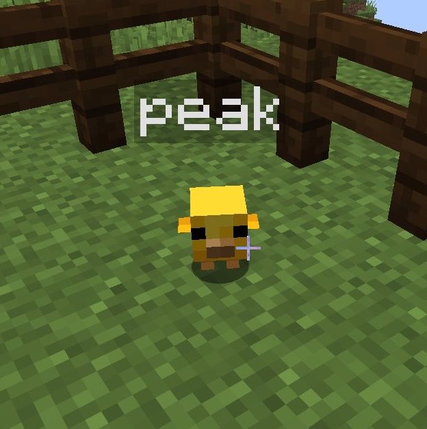 tempurasanx tweet picture