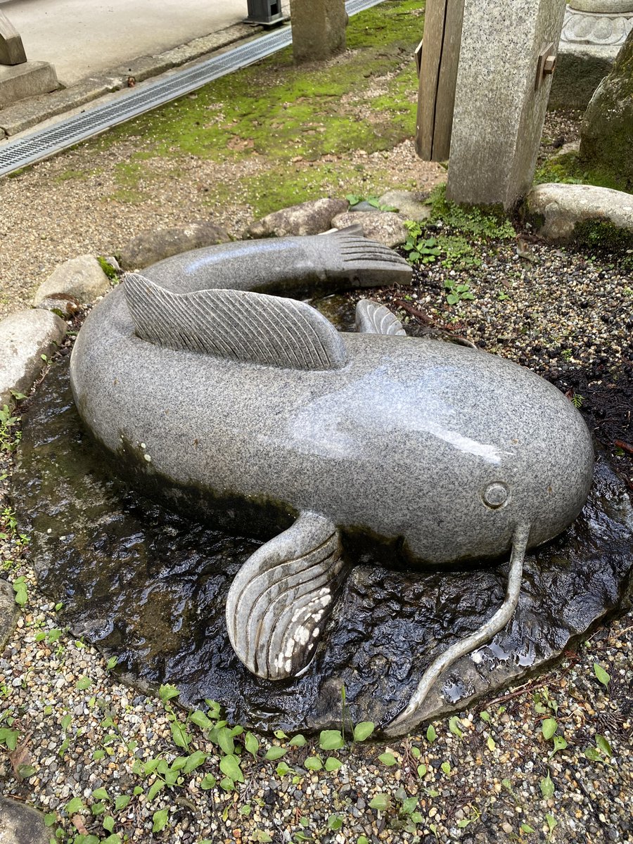 Kamison_0529's tweet photo. 2026.9.25
14:30〜15:00

大村神社⛩️御朱印

御祭神
本祀:大村の神

#神社
#写真 
#日本
#三重県

なまず様カワイイんよ https://t.co/EzSljcsUrK