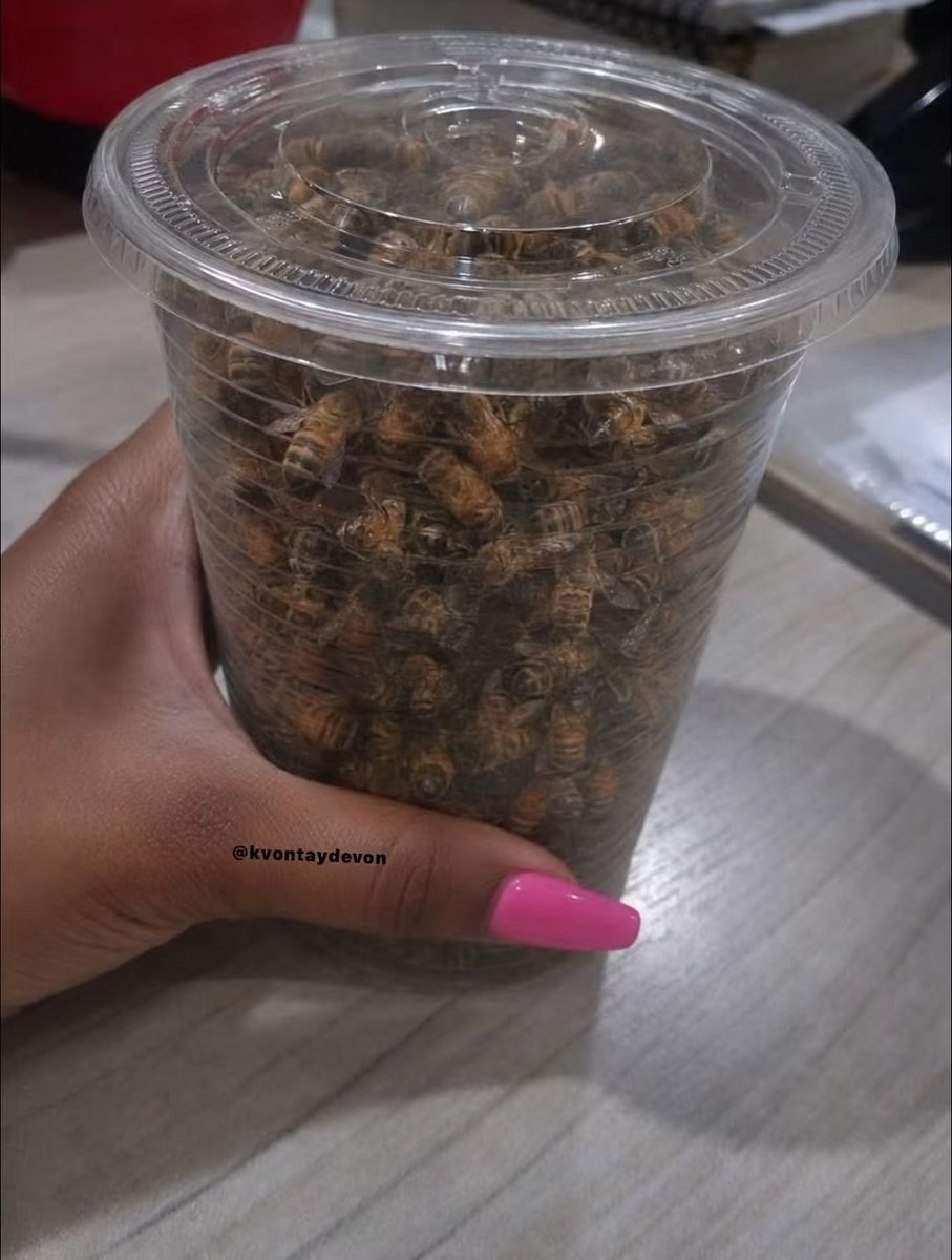 James315389's tweet photo. You cheated. Cute. Now I know you’re allergic to bees 🐝😊😊😊 https://t.co/fpAP3K7I00