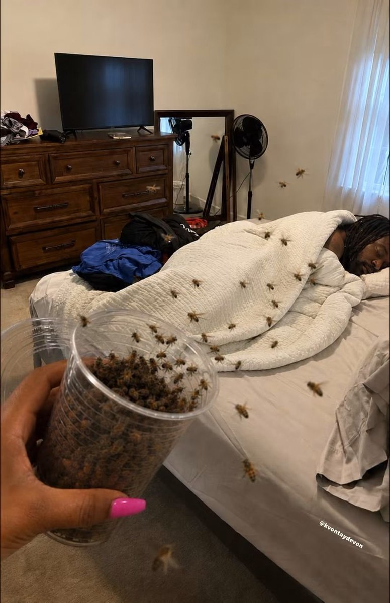 James315389's tweet photo. You cheated. Cute. Now I know you’re allergic to bees 🐝😊😊😊 https://t.co/fpAP3K7I00