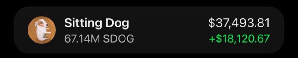 SOLANAMAST9's tweet photo. $SDOG is making serious waves in my Alpha Telegram group 🏆📊🚀

The fam is celebrating another big move! 🥳🔥

Another play, another reason to keep your eyes on the Alpha. 👀⚡

CA: yFcTuQJCMsd1Asya15GZ7h4KGdxsujRLcUiTWWXpump https://t.co/Dsji0x8FNv