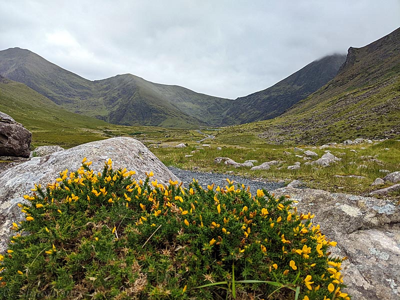 wanderspuren's tweet photo. Neues bei @wanderspuren - unsere Reise durch #Irland geht weiter. Im neuen Reisebericht besuchen wir die Countys Tipperary und Kerry und erleben Irland wie aus dem Bilderbuch #WanderninIrland #Roadtrip #Kerryway https://t.co/Mc6RlusedL https://t.co/lS9LqnAK8j