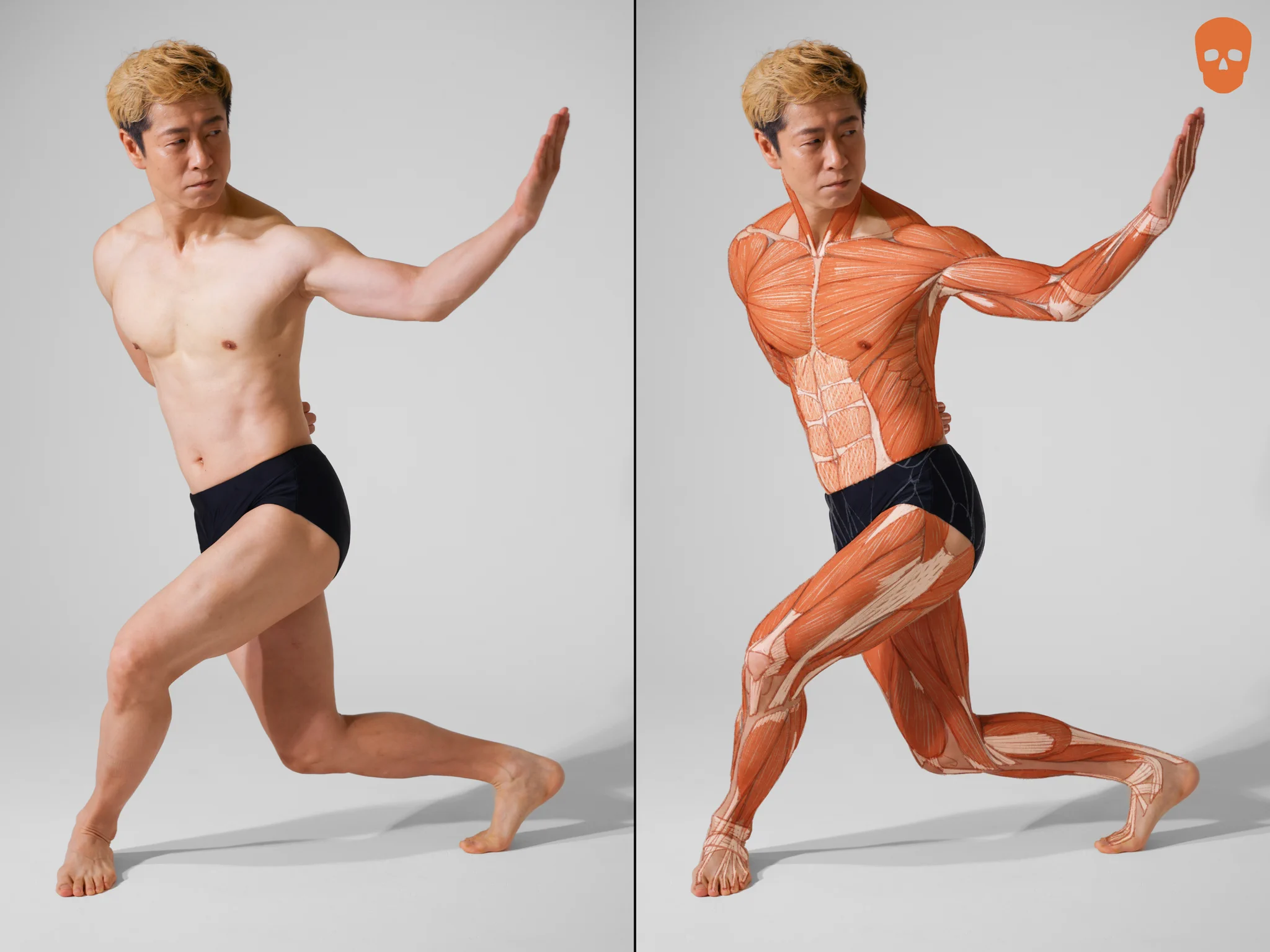anatomy tutorials (@artanatomylab) / X