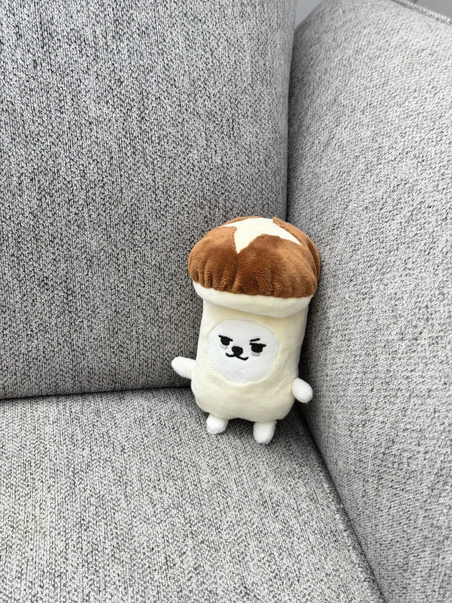 chu2ball's tweet photo. 🍄‍🟫 https://t.co/YmGa2dJG18