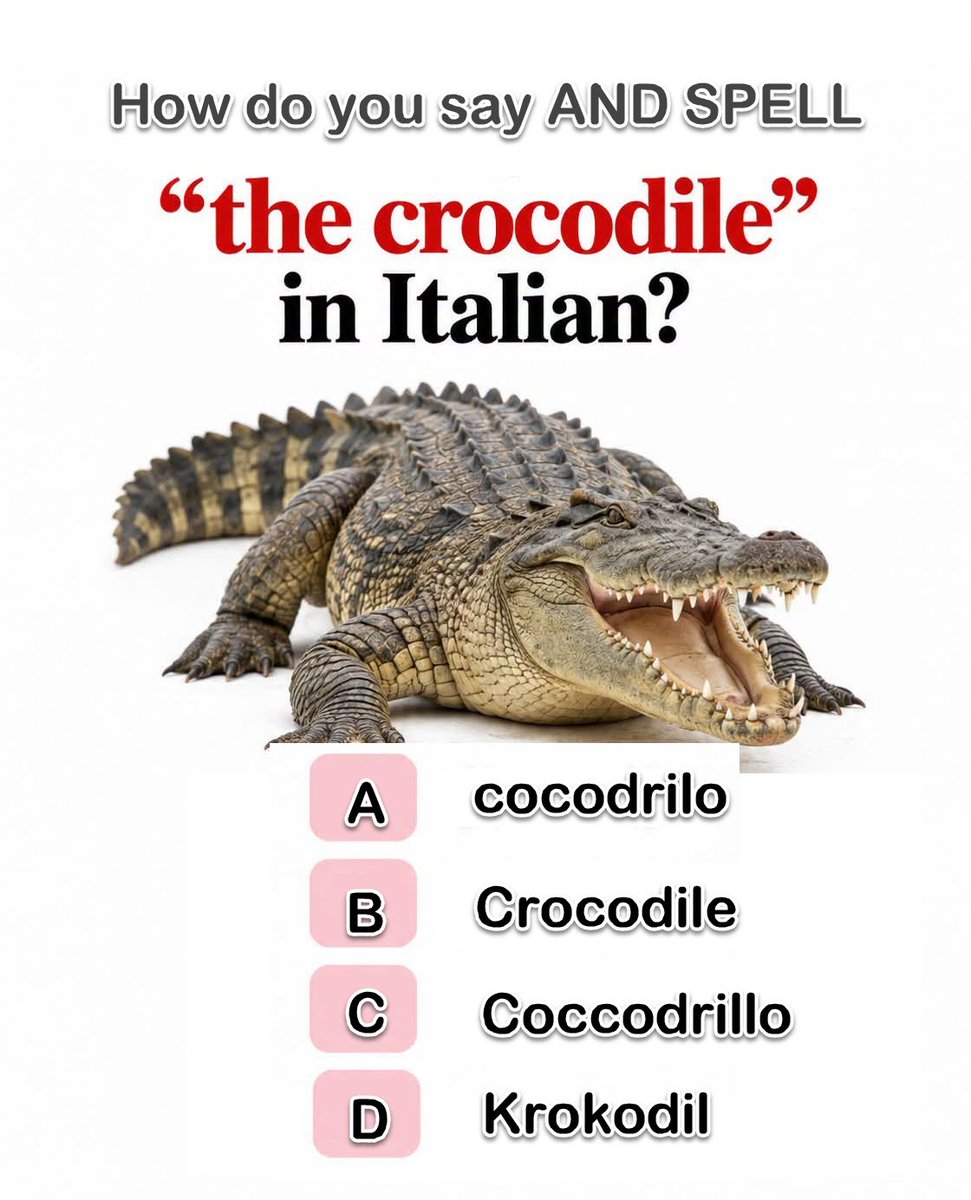 ItalianLearners tweet picture
