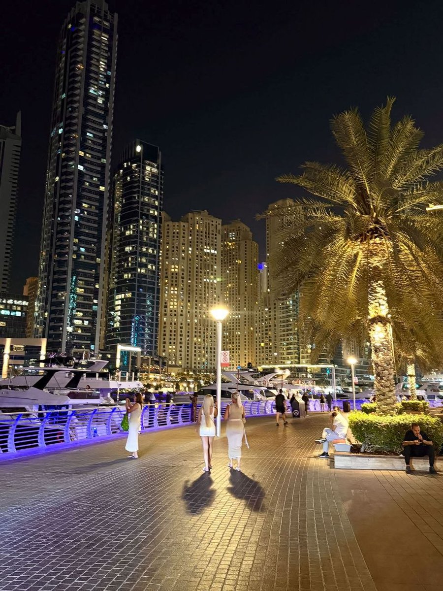 Alex_0xyz's tweet photo. City lights, quiet water and that late-night walk.
Some places just look better after dark. https://t.co/Rb50QmSvvO