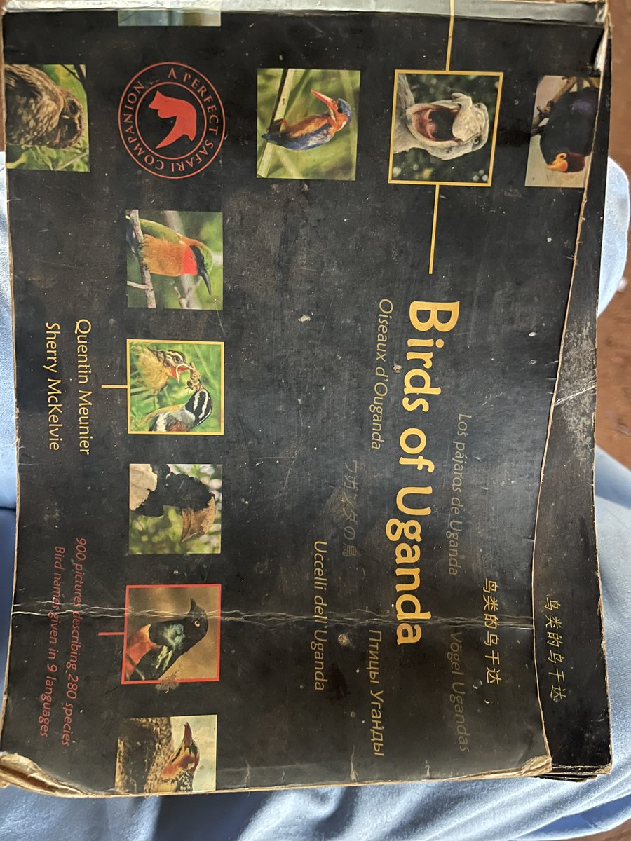 MawerereJolly's tweet photo. As we are nearing to the 18th of October this year… I found this book and I am really looking for it. I need to own One. @NamulwanaHildaV This lady made me love nature more beyond just seeing it… https://t.co/3YFiumSsMc