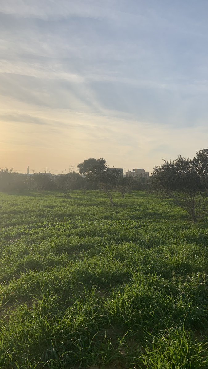 m60r_'s tweet photo. The last photos I took during sunset of my beautiful city Rafah before Israel turned it into a desert and a pile of stones

I missed her so much I wish I could return to her once more and kiss her soil https://t.co/PZpKJlrieX