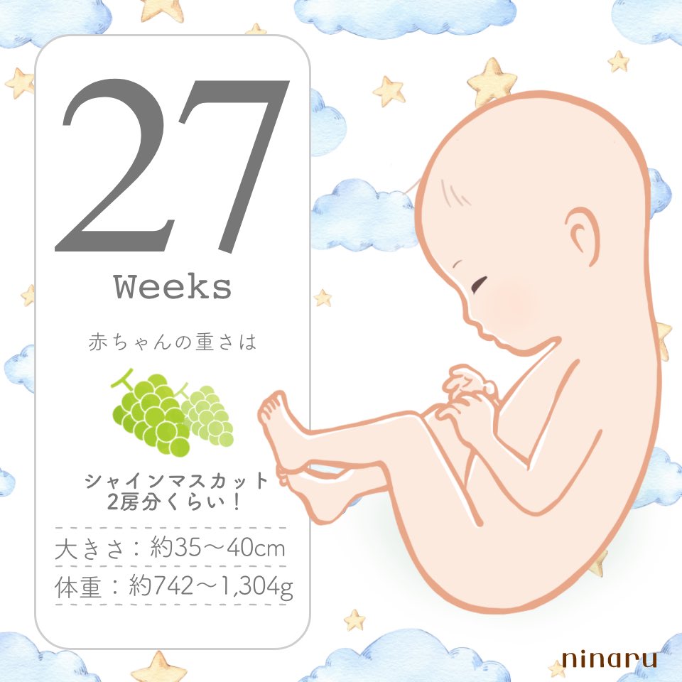 chii25__'s tweet photo. ついに27w💚🍇
中期もラストweekだよ〰️
あと1ヶ月半で産休なんて早すぎる😂♡ https://t.co/3A86JS4IPw