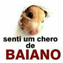 Nabunoko4's tweet photo. @natidaninha Disse a putinha 😘 https://t.co/bzjx7D9YYh