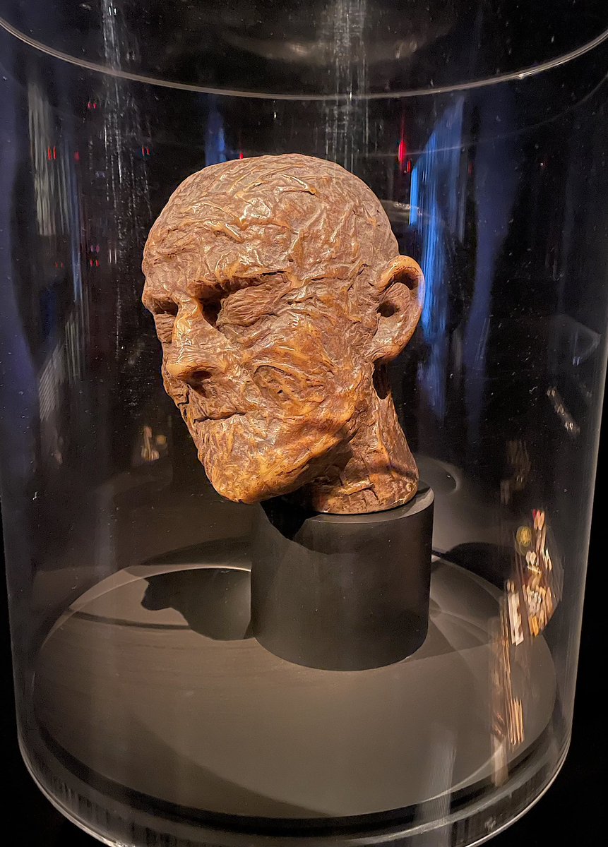 SFXmagazine's tweet photo. @AcademyMuseum @TaraDBennett @Cellarscape SFX attended the press preview of The Horror Show at @academymuseum 🦇

We’re sharing some of our highlights… 💀

1. Blade costume
2. Boris Karloff’s The Mummy mask
3. Candyman and slasher f(r)iends
4. The Creature From The Black Lagoon  

#Horror #Halloween #Spooky https://t.co/l6bXJcJULt