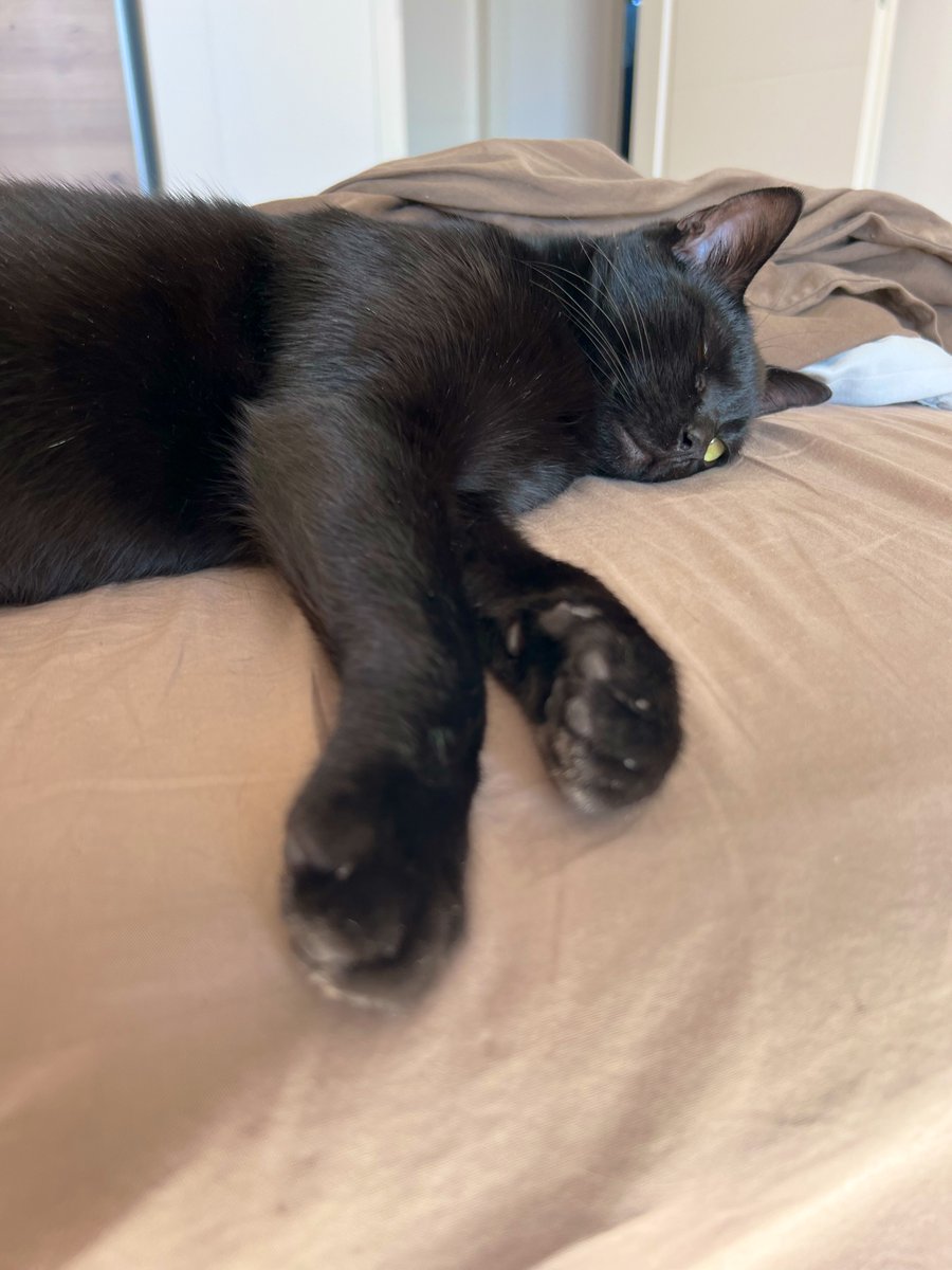HouseOfSagan's tweet photo. Mother has been staring at her phone and making excited noises for the past hour.

I assume the estate is flourishing. https://t.co/BMkM75AWbz
