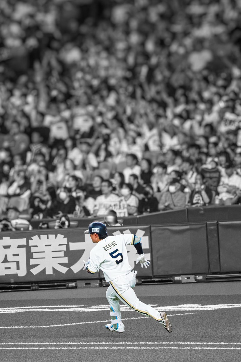 yama_19ph's tweet photo. 2026.9.26 @京セラ

″ 前だけ見て ″
 #西野真弘 選手 https://t.co/nTwk3kv3Tw