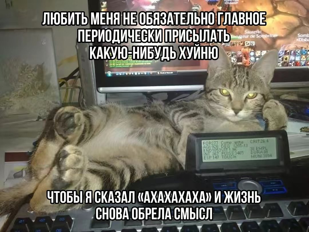 catsilcats's tweet photo. https://t.co/U2j0uellSU
