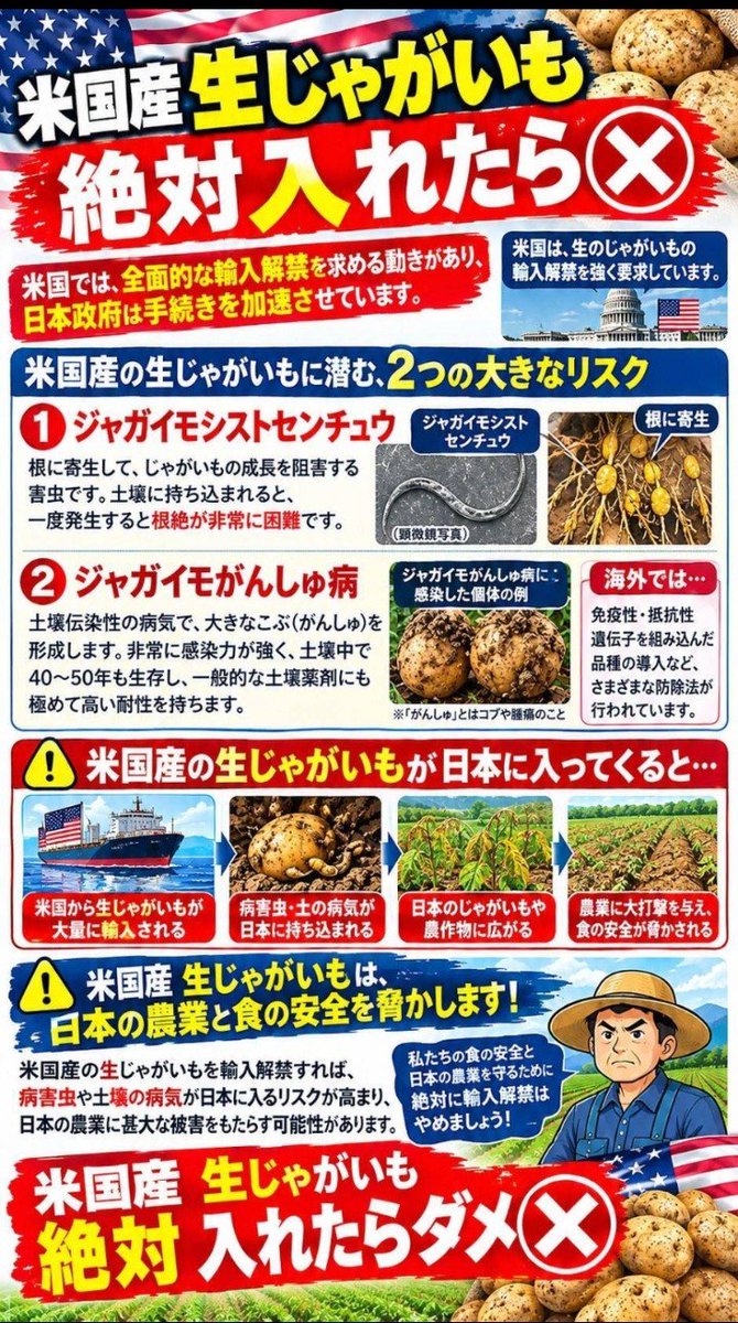 supica05's tweet photo. 今年も月見バーガー食べてる諸君、毎年秋になると、市場には国産の野菜や果物が出回って、美味いもの大好きな日本人にとっては嬉しい季節になるよね
でも、米国産の生のジャガイモの危険性を無視して輸入すればジャガイモだけでなく色んな野菜が食べれなくなります
日本政府は手続きを加速させています https://t.co/5aQ4nrVyAn