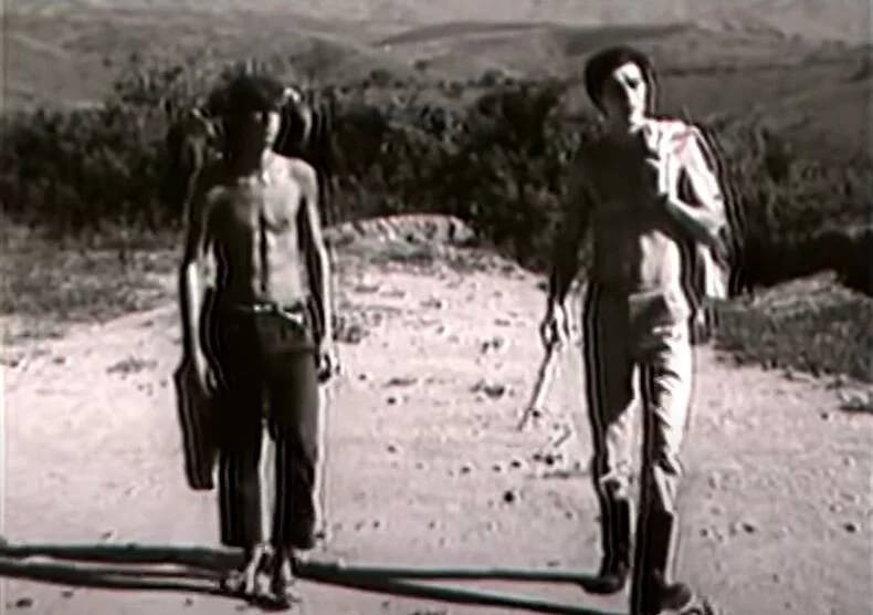 gabwisz's tweet photo. é triste perceber o quanto o cinema queer brasileiro foi apagado, porque filmes icônicos como "o menino e o vento" já estava aqui em 1967 enquanto décadas depois todos trataram "call me by your mame" como se guadagnino tivesse inventado a homossexualidade no cinema https://t.co/KfMcPrNQaZ