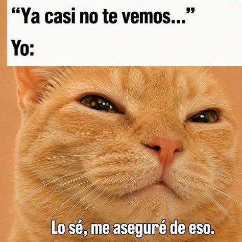 belenlarchens's tweet photo. mi estado socio-afectivo-vincular crónico: https://t.co/nxD5Lzr1dm
