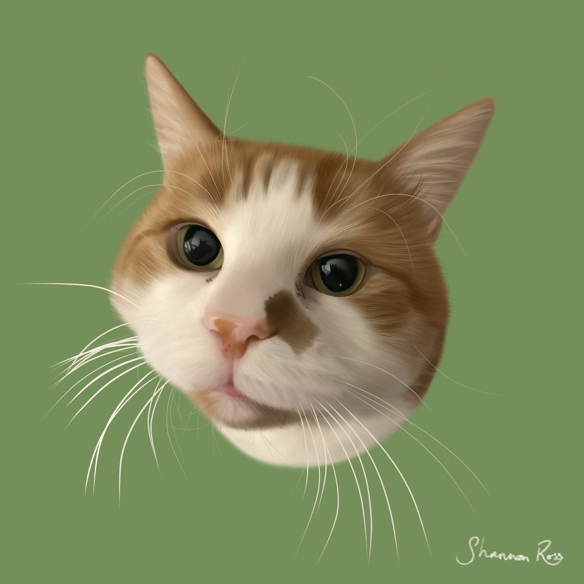 shannonrosssx's tweet photo. The perfect gift!🎁 

With Christmas approaching, why not gift someone their beloved pet as a drawing🐾

**Introductory Offer**
https://t.co/3MqPJwUtMh https://t.co/ZWoM449kVr