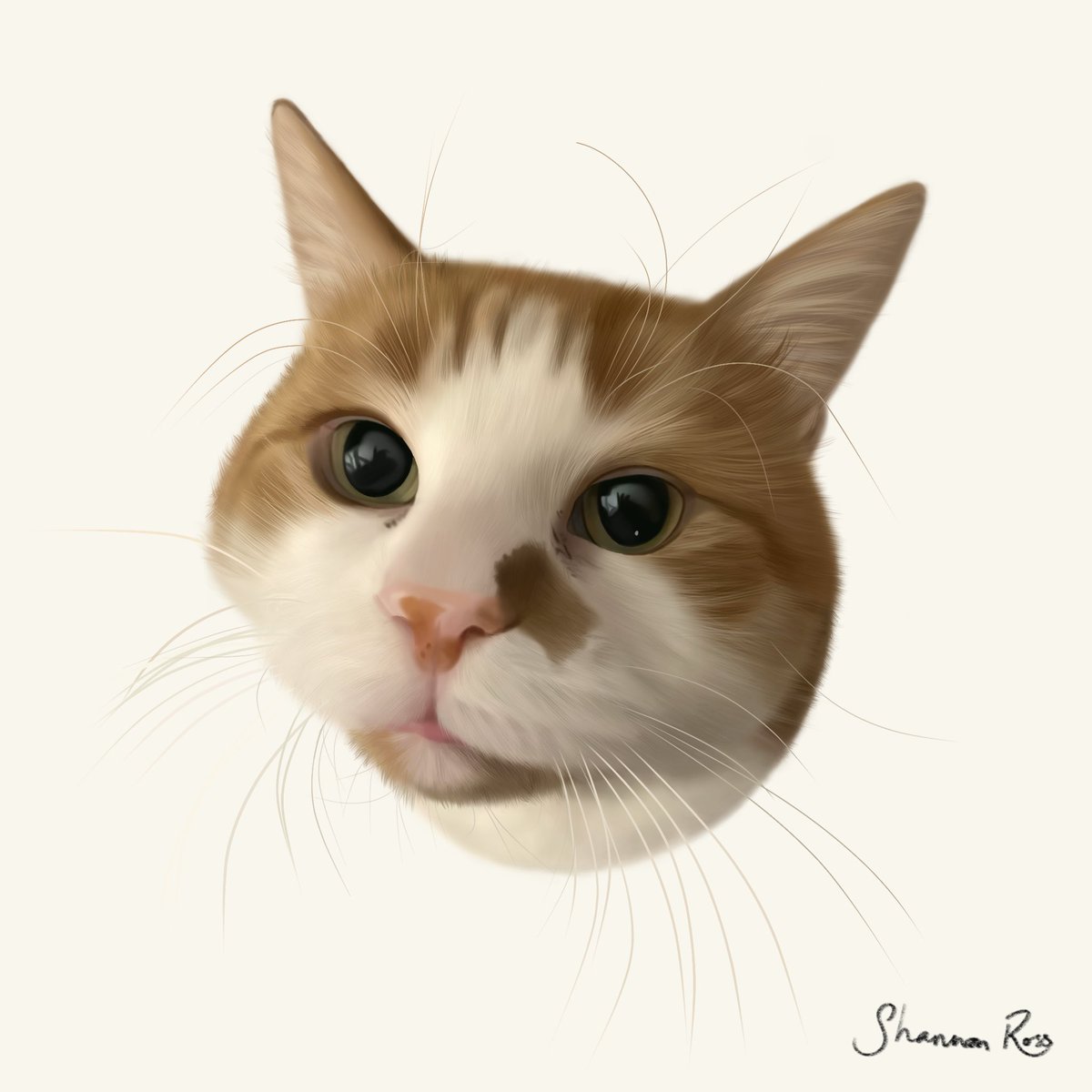 shannonrosssx's tweet photo. The perfect gift!🎁 

With Christmas approaching, why not gift someone their beloved pet as a drawing🐾

**Introductory Offer**
https://t.co/3MqPJwUtMh https://t.co/ZWoM449kVr