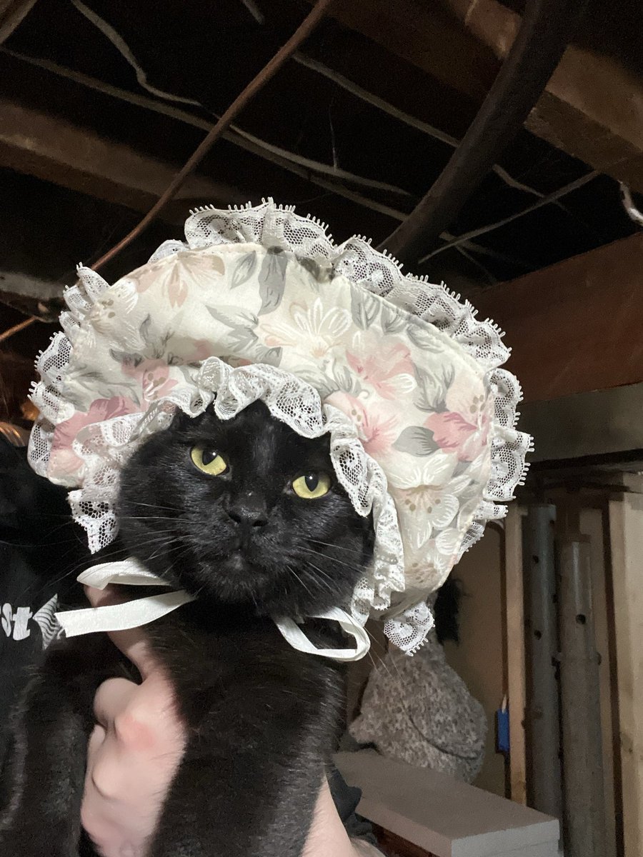 ummmmmlor's tweet photo. Meet Geraldine “Geri”
She has physical and mental special needs from an injury at 1 week old. Geri’s an ambassador animal for the shelter I work at and teaches children it’s okay to be different and we all deserve a chance. #FromPetToTatari #ClashOfCritters https://t.co/qWsF9zjDBt