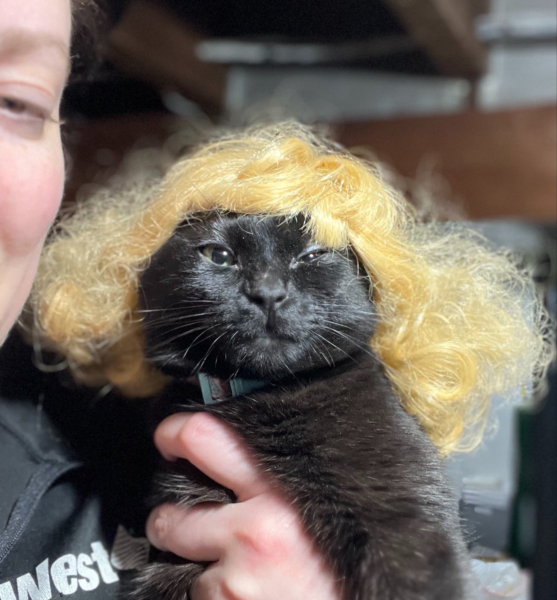 ummmmmlor's tweet photo. Meet Geraldine “Geri”
She has physical and mental special needs from an injury at 1 week old. Geri’s an ambassador animal for the shelter I work at and teaches children it’s okay to be different and we all deserve a chance. #FromPetToTatari #ClashOfCritters https://t.co/qWsF9zjDBt
