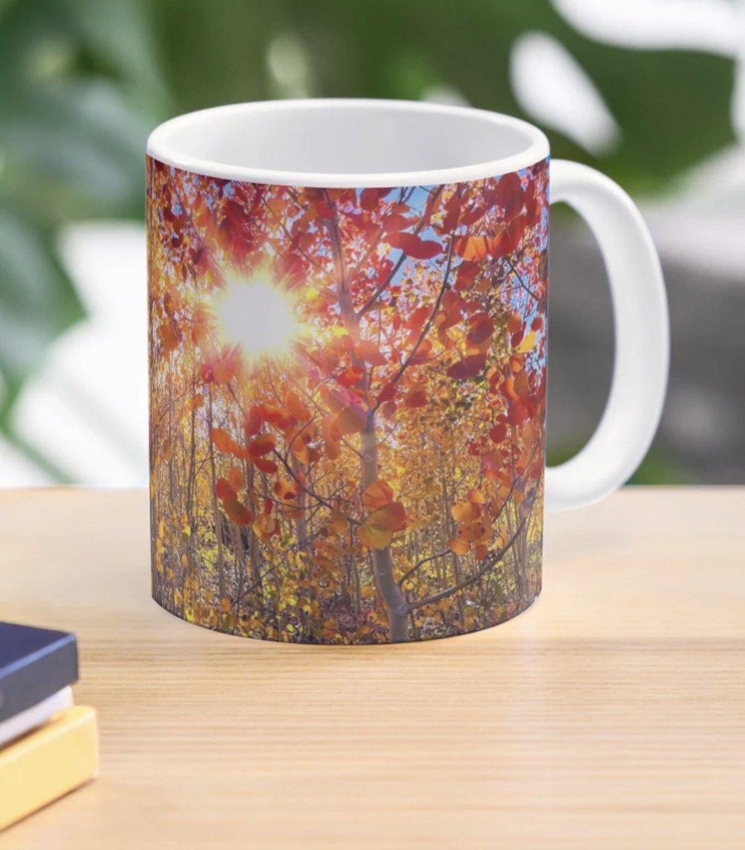 erinmdorffette's tweet photo. The weather his cooling down, the world is slowing down and getting back into the school year routine. It’s a perfect day to grab a new mug on sale and enjoy a cup of coffee….
#savenow #findyourthing #coffeemugs #sale #mugs #LimitedTimeOffer
https://t.co/iNvFMep7Tn https://t.co/95QNBwwrUP
