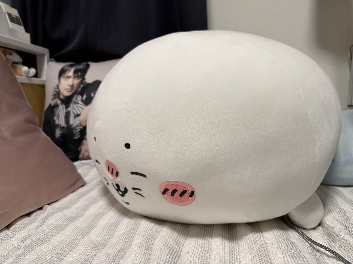 Kumio09's tweet photo. 旦那に馬鹿デカアザラシ貰ったから今日から一緒に寝る🦭 https://t.co/n6tU85ZTIA