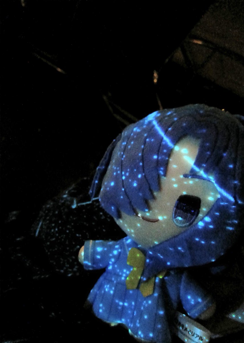 itiiiluka's tweet photo. 素敵な写真が撮れましたありがとうございます。
#ぬい活 https://t.co/rRczb2xuz8