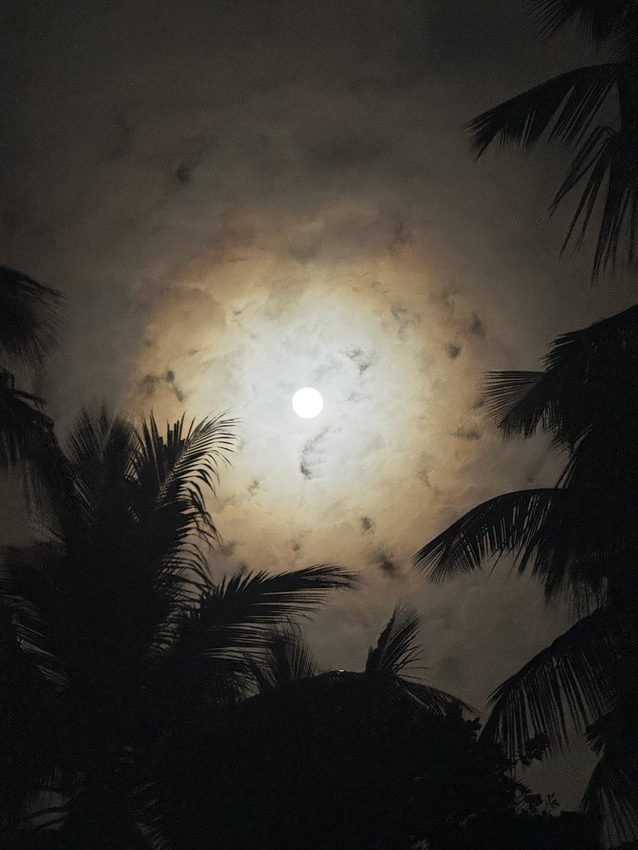 SriLankaTweet's tweet photo. 📸 On Poya Day, the full moon shines through a sky filled with dark clouds 🌖🌕☁️ https://t.co/RGHdQjx20X