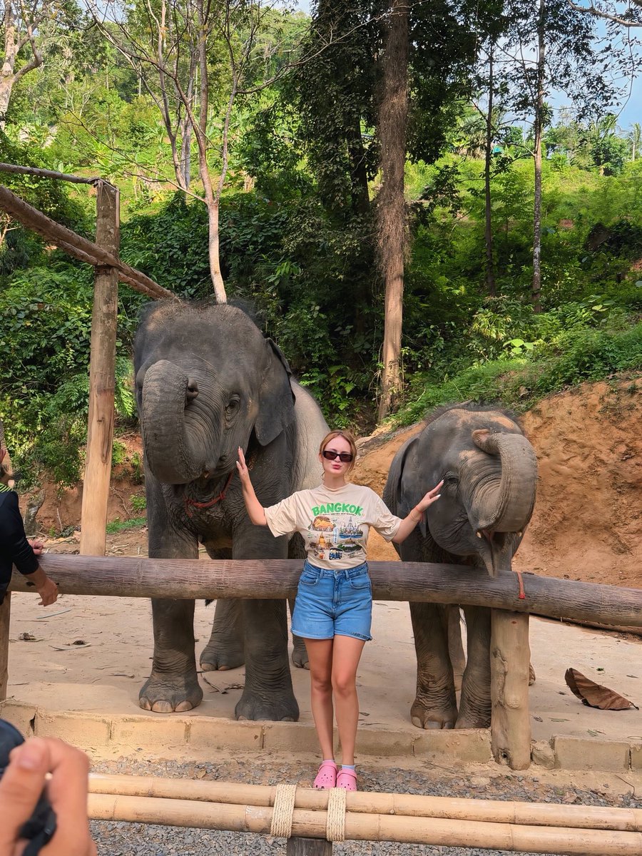 mustafaydg01's tweet photo. Manitanın fil sevdası bizi phuket’e getirdi 🐘 https://t.co/FKNddjmhnb