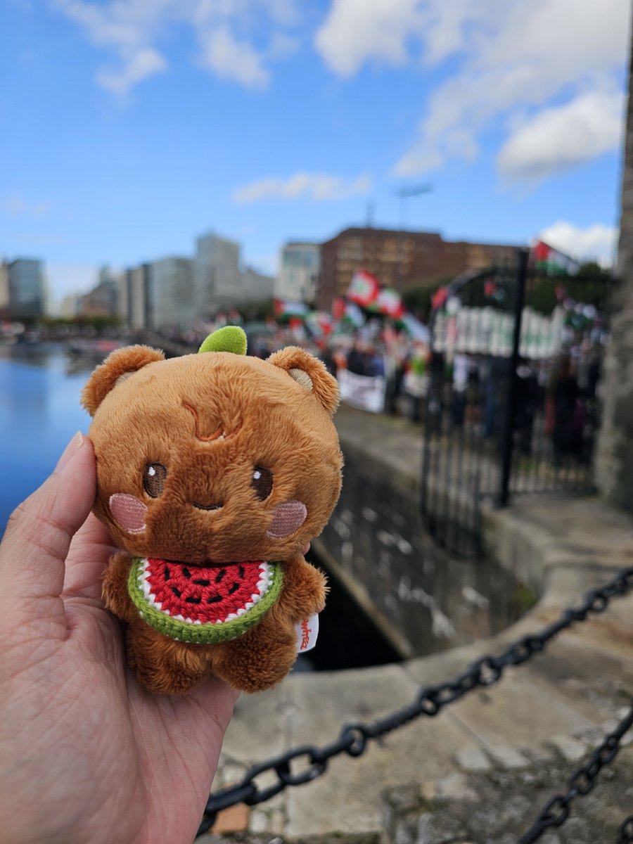 jjoongscubase's tweet photo. Jjongbear at the National March for Palestine today 🇵🇸🐻 https://t.co/rCAbYDRc6T