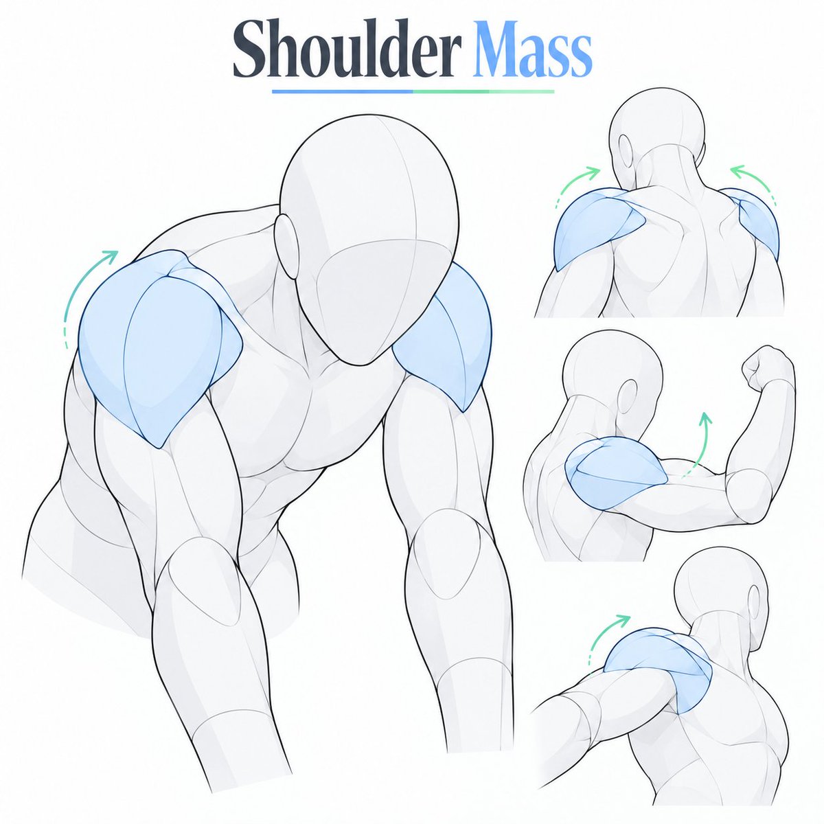 ezdrawps's tweet photo. Shoulder mass https://t.co/sr2aMcpts4