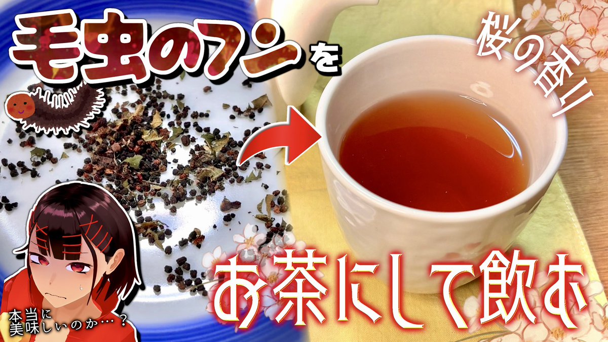 Hairpin_Mamire's tweet photo. 動画アップ！！✨✨🐛🐛

【閲覧注意】毛虫の糞をお茶にして飲もう！(あと普通に毛虫も食べるよ)【モンクロシャチホコ】
https://t.co/pZm619Kf5S https://t.co/cPBmElCzH1