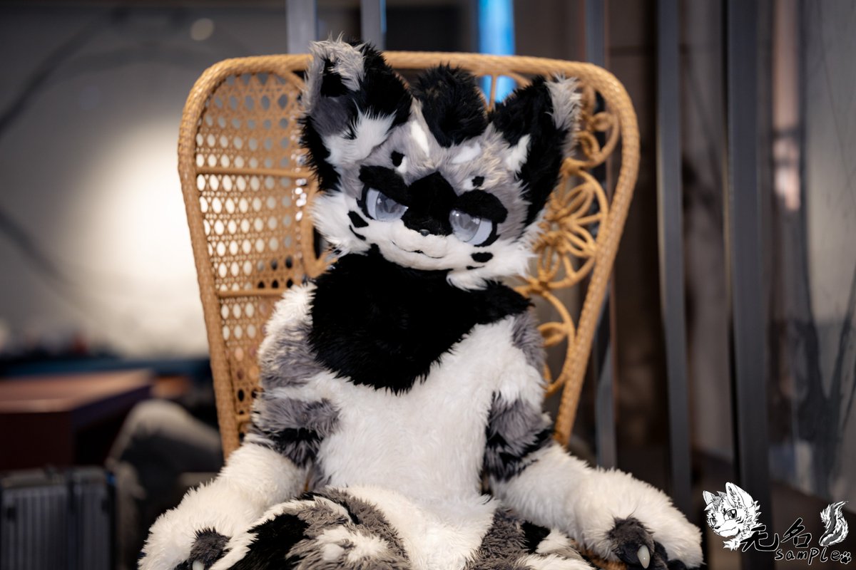 furrywuming's tweet photo. King's Little Wolf ！！！
#furry #福瑞 #fursuit #兽装 #fursuiter 
#兽装爱好者 #兽圈 #fursuiteveryday https://t.co/32J7QpVb10