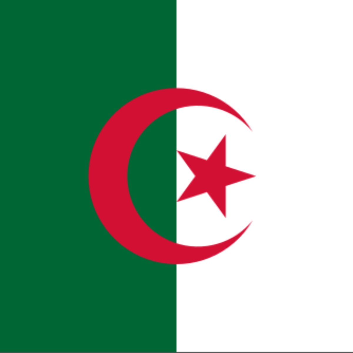 MassiliaZone's tweet photo. 🚨 Brahim Hemdani, sélectionneur de l'Algérie :

"Gouiri ? On est en alerte. On va attendre pour se prononcer. 

Il a une gêne au niveau du quadriceps de la cuisse gauche."

[@CasseJosue] https://t.co/Ah8kxZLNUi
