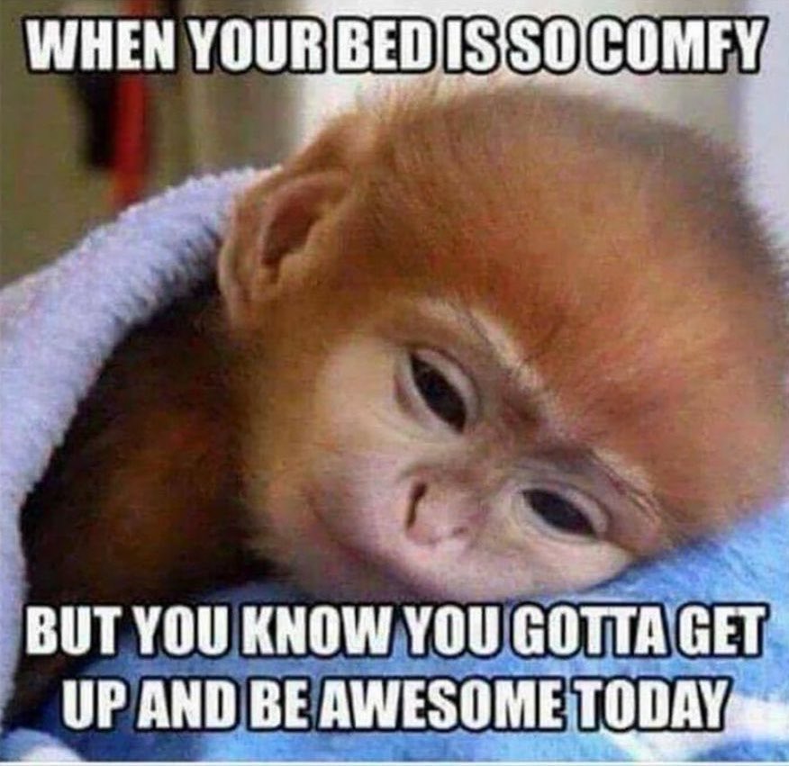 outcasthermit's tweet photo. good morning https://t.co/V0CRYOu0CG