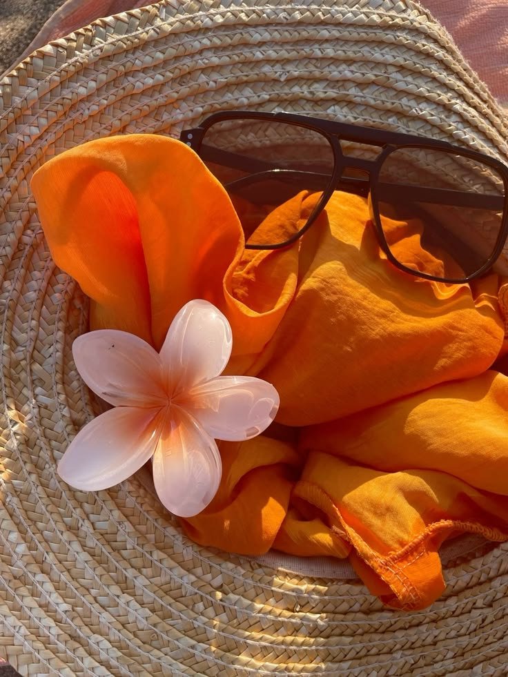 musascnte's tweet photo. 🥥֞ᅠ’ᅠ𝗰𝗼ı𝗌ɑ 𝖽𝖾 𝖺𝘲υɑ𝗋𝖾𝗹ɑ  :  𝗽ı𝗇𝖼𝖾𝗅 𝕕𝗈 𝘣·𝒐𝒎! https://t.co/gejDGMnSEF