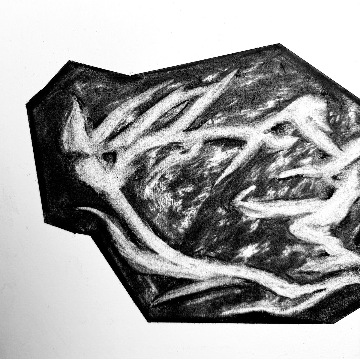 yen9is's tweet photo. “Falling Branches”
• Charcoal on paper https://t.co/MYvnLtFDjq