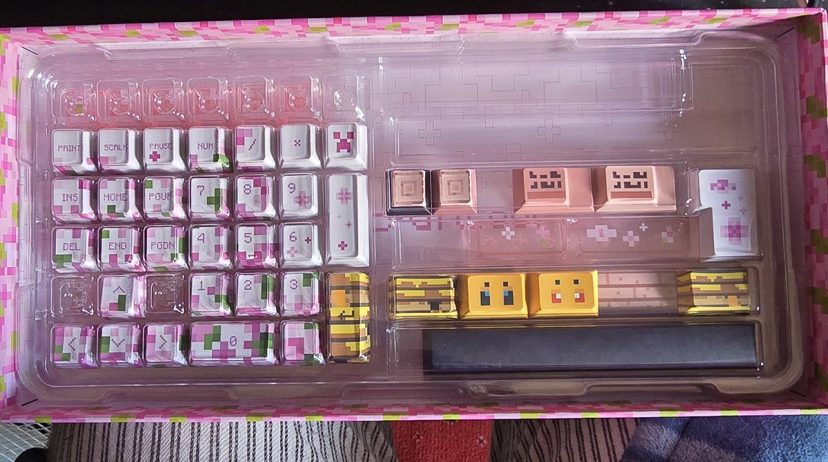BlaiddVT's tweet photo. LOOK WHAT ARRIVED!!

Yes, I did indeed buy the Minecraft key caps they released a little bit ago because they came back in stock for a short time!! They're so cute!

I got the pretty Blossom ones to match my keyboard (as seen in image 1!) and they match my cat's name! https://t.co/0NJx2O7vza